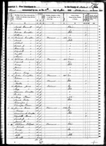 1850-IL Census, --, Wabash Co, IL