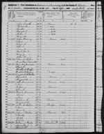 1850-NC Census, NE Cape Fear, Bladen Co, NC