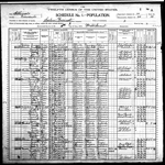 1900-IL Census, District 20, Salem Precinct, Edwards Co, IL