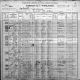1900-IL Census, Grayville, Gray Township, White Co, IL