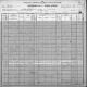1900-MO Census, St. Louis, St. Louis, MO
