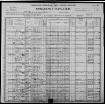 1900-NC Census, District 14, Whites Creek Township, Bladen Co, NC