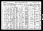 1910-FL Census, District 142, Auburndale Precinct, Polk Co, FL