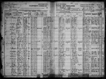 1920-MI Census, Detroit City, Wayne Co, MI