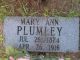 Mary Ann <em>Todd</em> Plumley